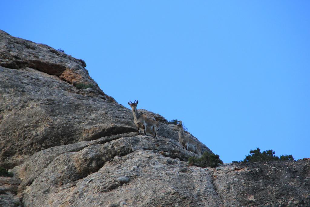 Ca La Leonor, Ecoturisme Terra Alta Villa Bot Szoba fotó