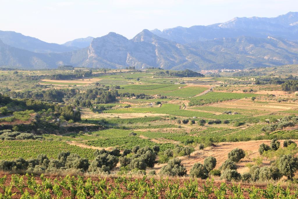 Ca La Leonor, Ecoturisme Terra Alta Villa Bot Szoba fotó